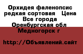 Орхидея фаленопсис редкая сортовая › Цена ­ 800 - Все города  »    . Оренбургская обл.,Медногорск г.